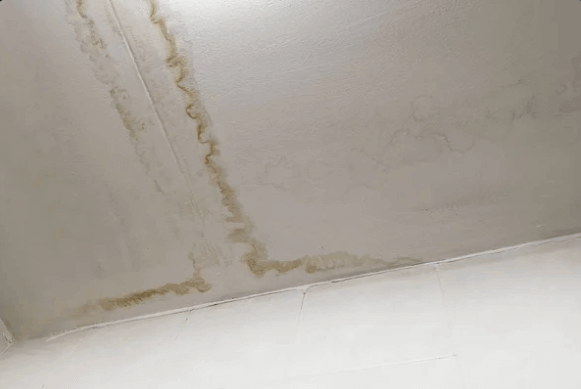 an image displaying the Discoloration or Warping of Ceiling Material on the ceiling