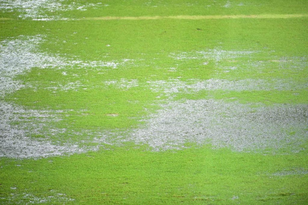  an image depicting a problem of soggy lawns in the backyard of the house