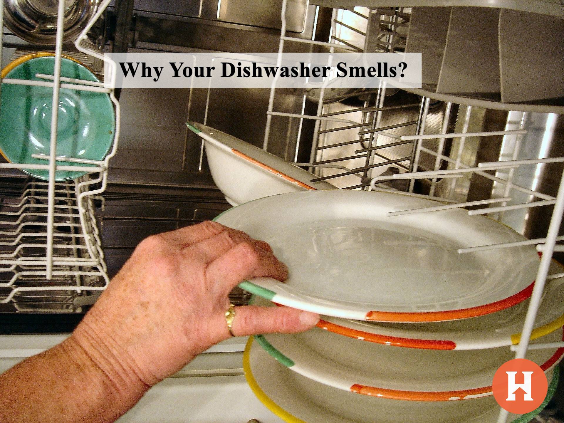 Why Your Dishwasher Smells?