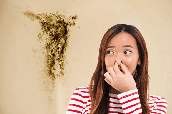 an image displaying the Musty Odor on the ceiling
